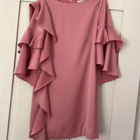 Ted Baker Pink Eicio Ruffle Ruffle Tunic Dress - Picture 11 of 15